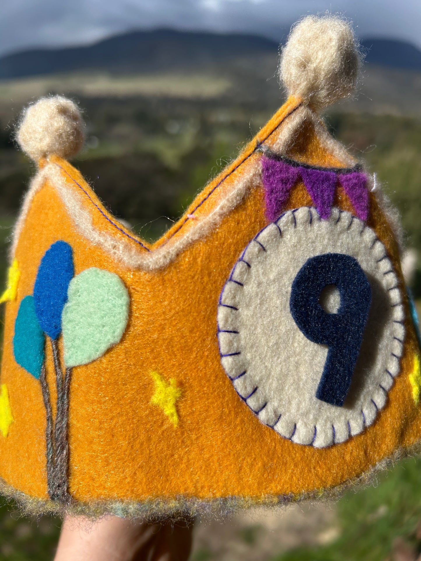 NEW! Birthday Crown